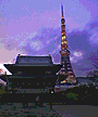 芝増上寺
