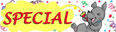 SPECIAL!