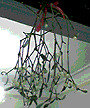 طނذ