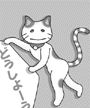 ޭ摜