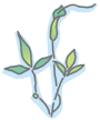 ׽޼